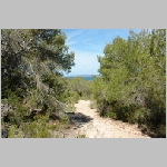 Gerald_Formentera_06-2007_027.JPG