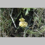 Gerald_Formentera_06-2007_029.JPG
