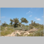 Gerald_Formentera_06-2007_036.JPG