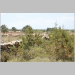 Gerald_Formentera_06-2007_037.JPG