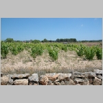 Gerald_Formentera_06-2007_038.JPG
