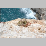 Gerald_Formentera_06-2007_042.JPG