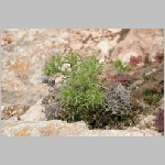 Gerald_Formentera_06-2007_043.JPG