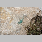 Gerald_Formentera_06-2007_046.JPG