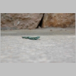 Gerald_Formentera_06-2007_058.JPG