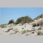 Gerald_Formentera_06-2007_080.JPG